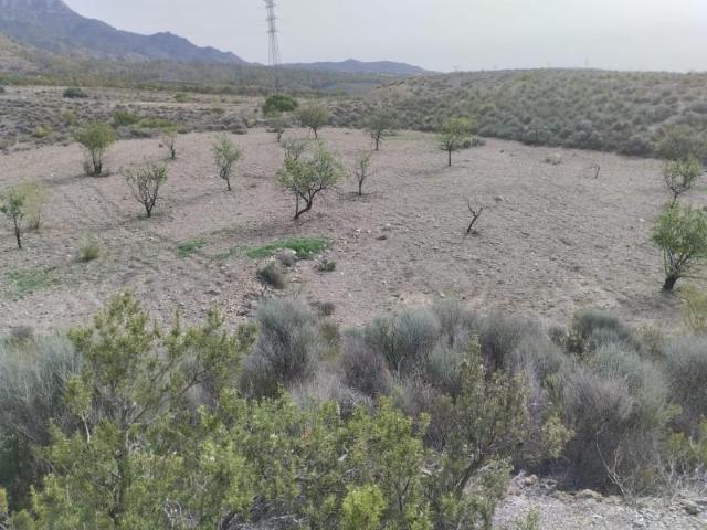 Terreno en venta Lorca