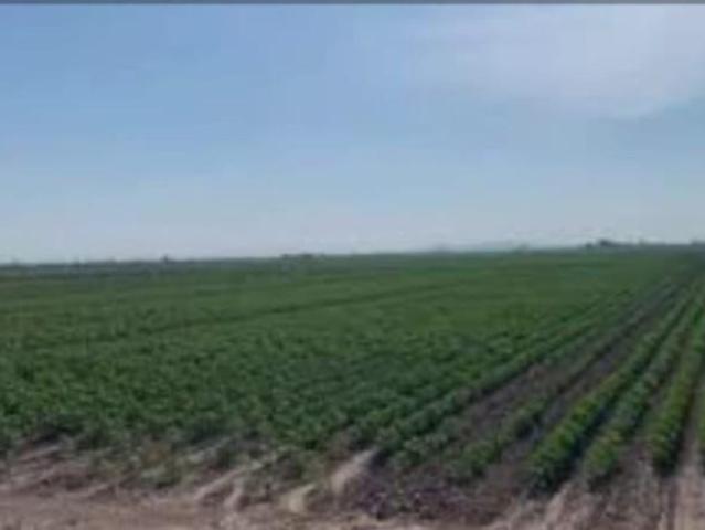 Terreno en venta Lorca
