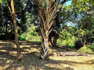 TERRENO EN VENTA, PUERTO ESCONDIDO