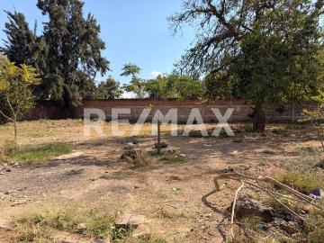 Terreno en venta Purísima del Jardín