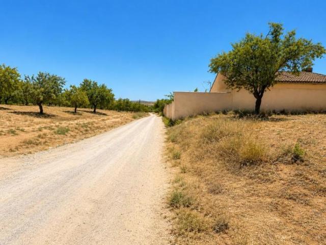 Terreno en venta Padul