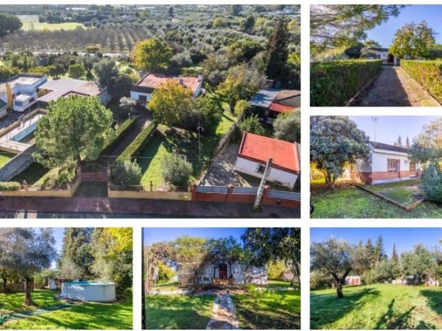 Terreno en venta Palomares del Río