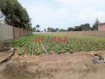 TERRENO EN VENTA PARA CASA DE CAMPO EN CHACARILLA BARRAZA ID 1069398