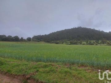 TERRENO EN VENTA PARA SIEMBRA EN CUAUTEPEC,HIDALGO