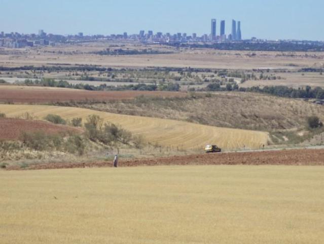 Terreno en venta Paracuellos de Jarama