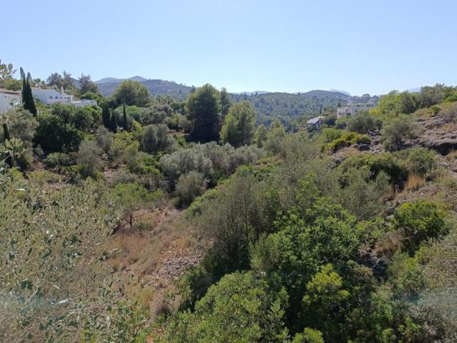 Terreno en venta Pego