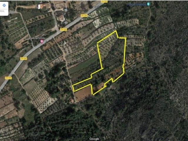 Terreno en venta Pedreguer