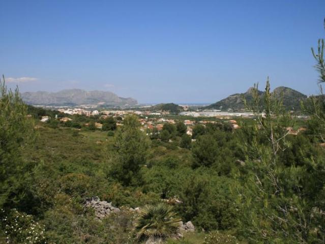 Terreno en venta Pedreguer