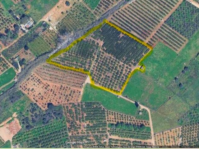 Terreno en venta Pedreguer