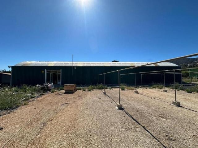 Terreno en venta Pedreguer