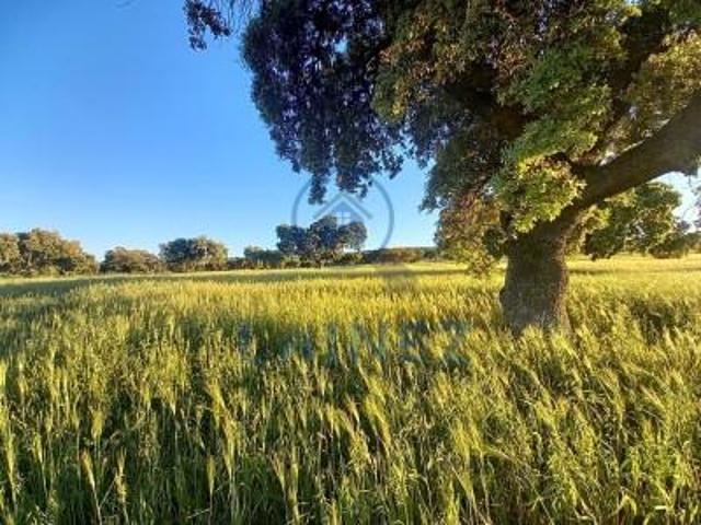 Terreno en venta Peñarroya Pueblonuevo