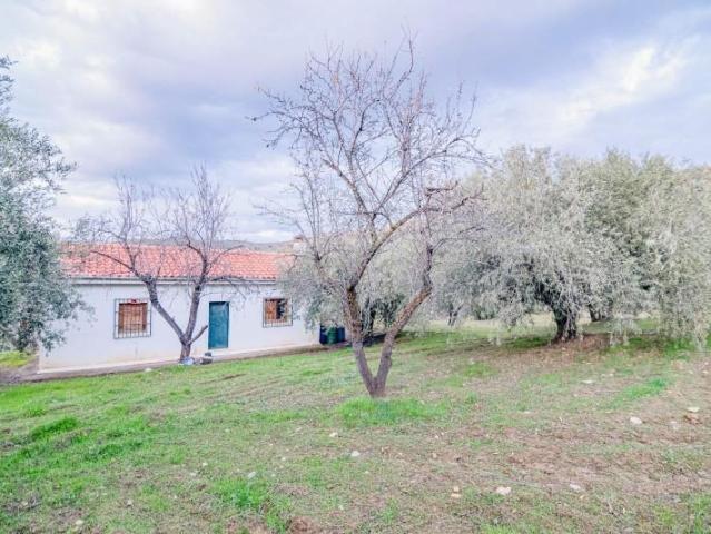 Terreno en venta Pinos Genil