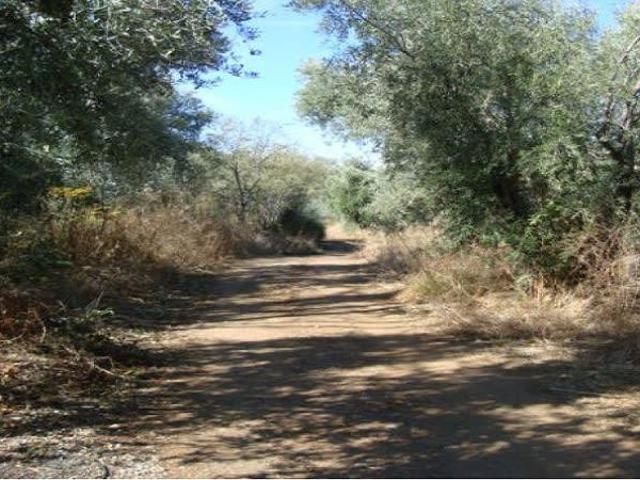 Terreno en venta Pinos Genil