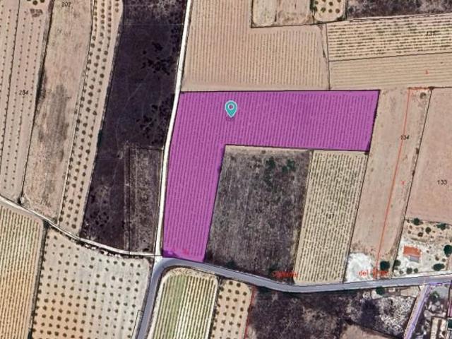 Terreno en venta Pinoso