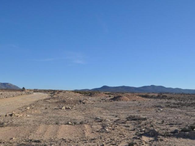 Terreno en venta Pinoso