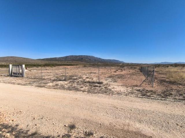 Terreno en venta Pinoso