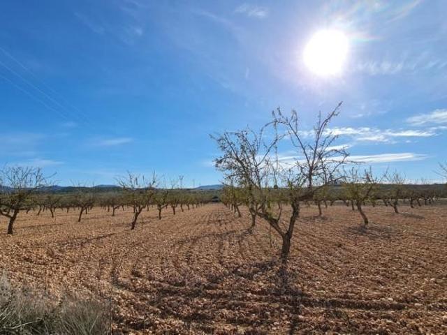 Terreno en venta Pinoso