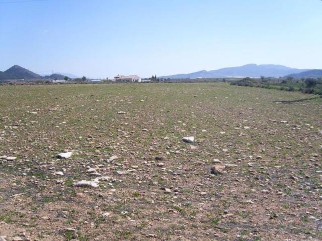 Terreno en venta Pinoso