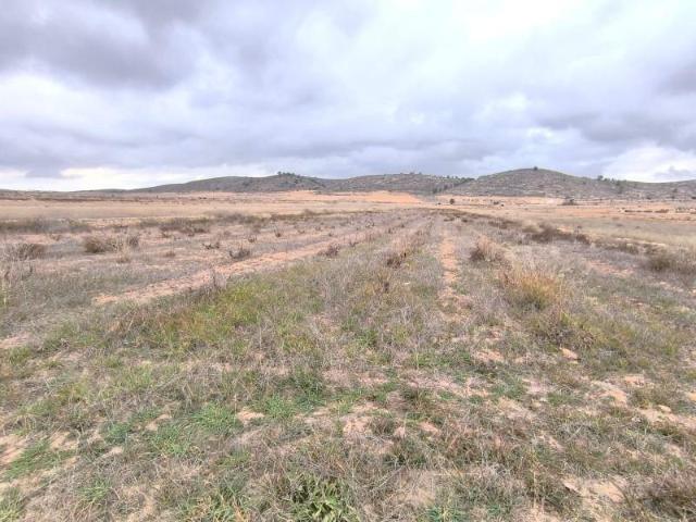 Terreno en venta Pinoso