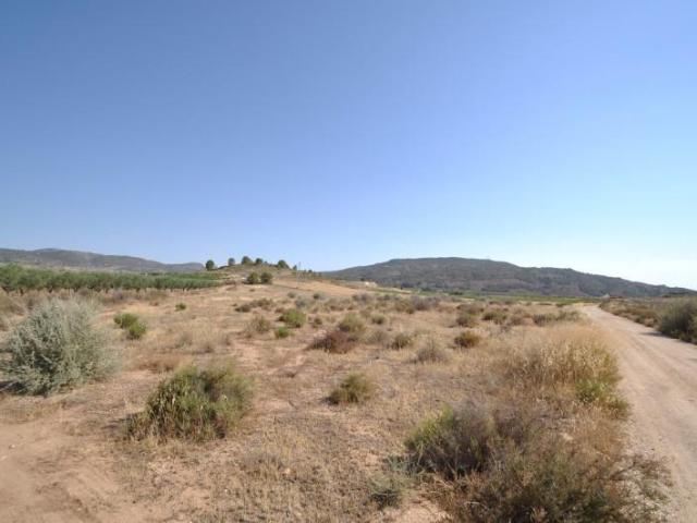 Terreno en venta Pinoso