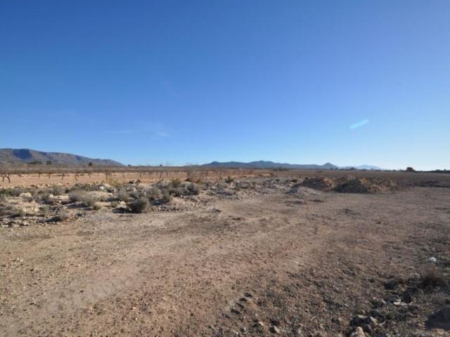 Terreno en venta Pinoso