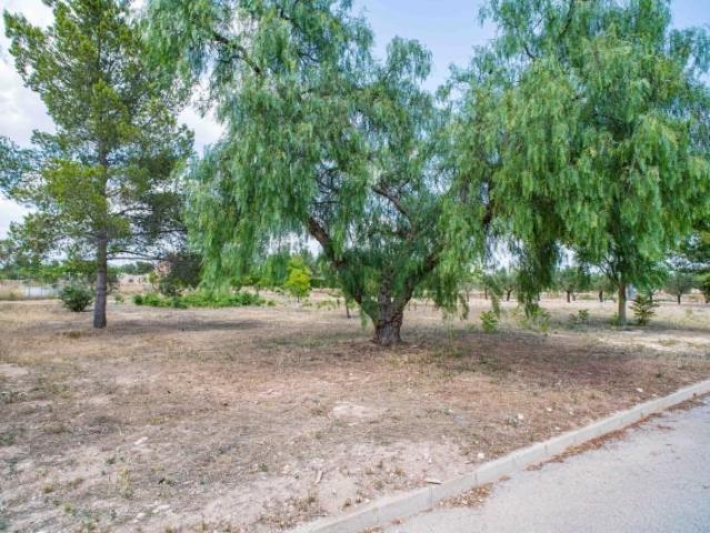 Terreno en venta Pinoso