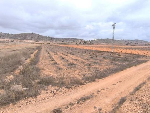 Terreno en venta Pinoso