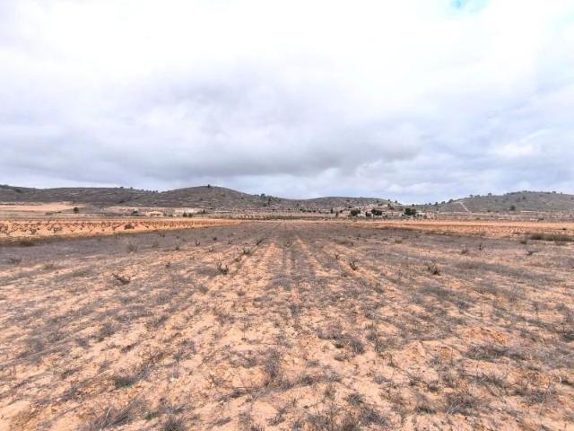 Terreno en venta Pinoso