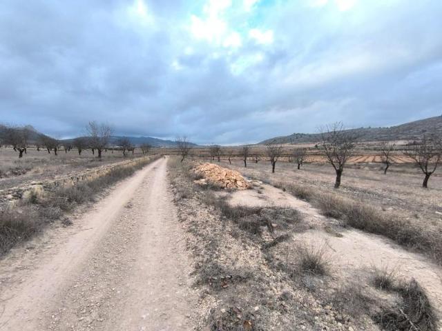 Terreno en venta Pinoso