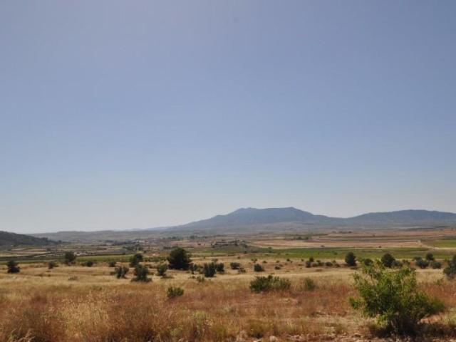 Terreno en venta Pinoso
