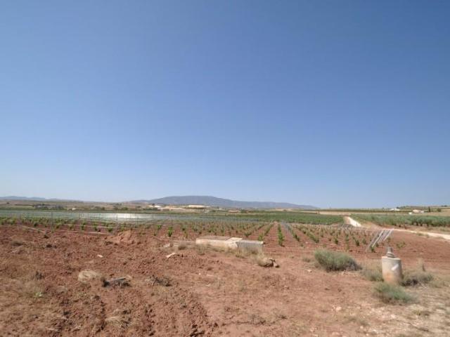 Terreno en venta Pinoso