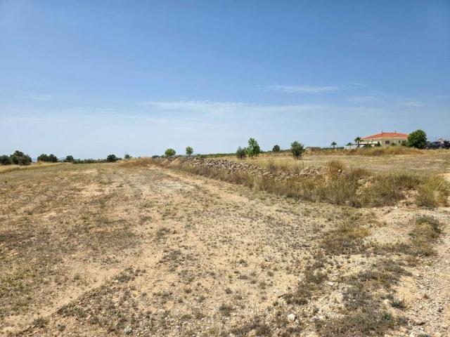 Terreno en venta Pinoso