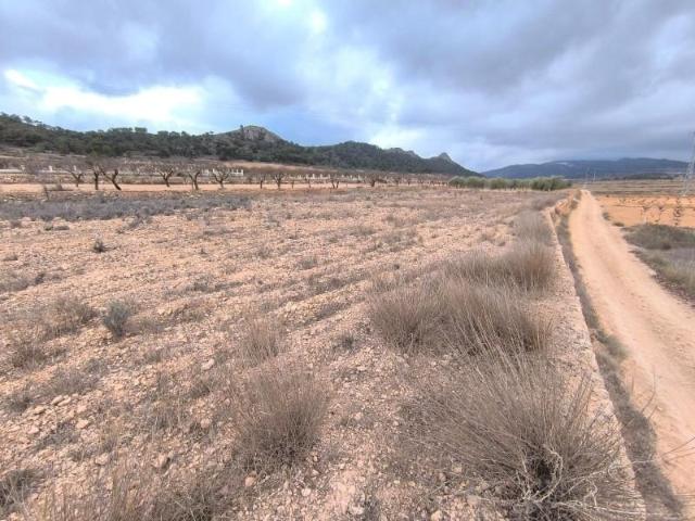 Terreno en venta Pinoso