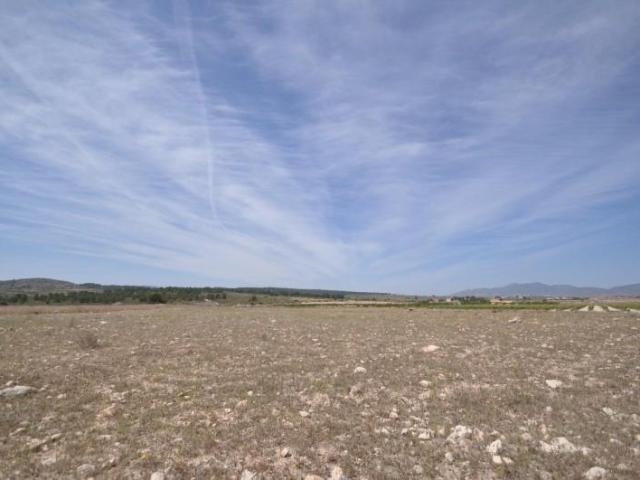 Terreno en venta Pinoso