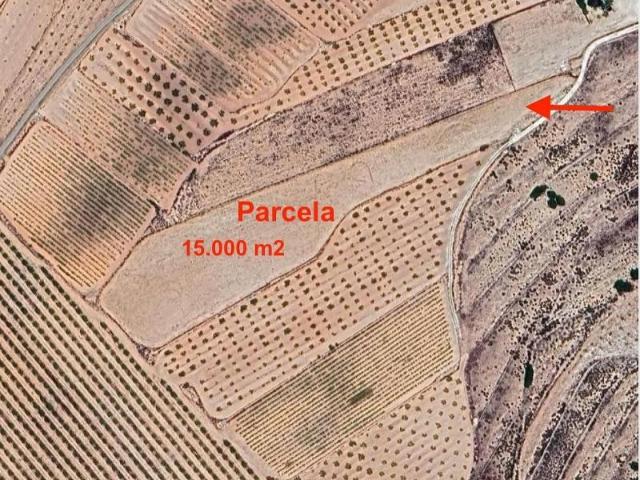 Terreno en venta Pinoso