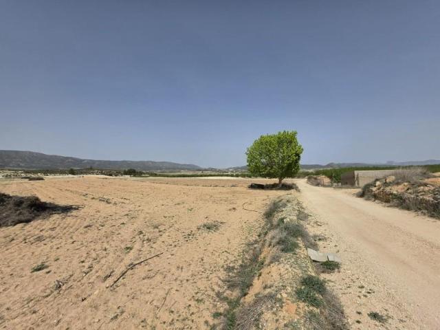 Terreno en venta Pinoso