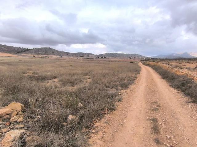 Terreno en venta Pinoso