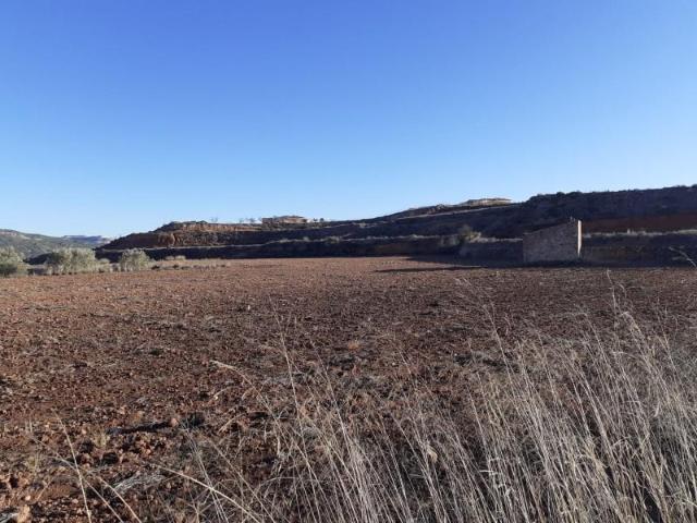 Terreno en venta Pinoso