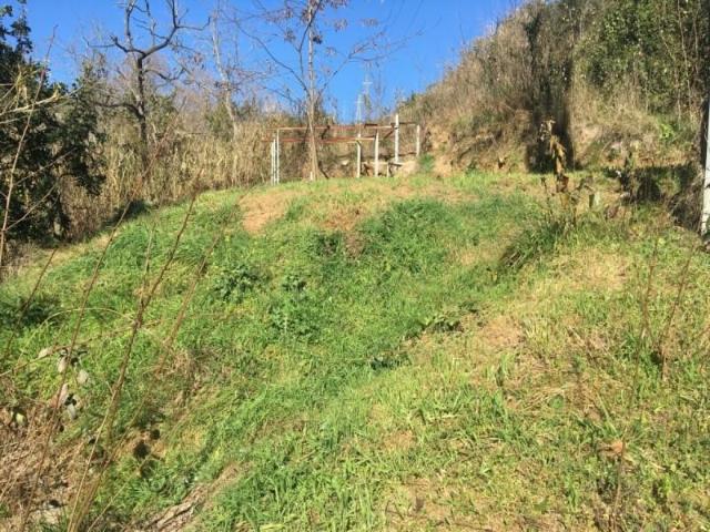 Terreno en venta Pineda de Mar