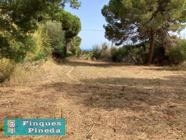 Terreno en venta Pineda de Mar