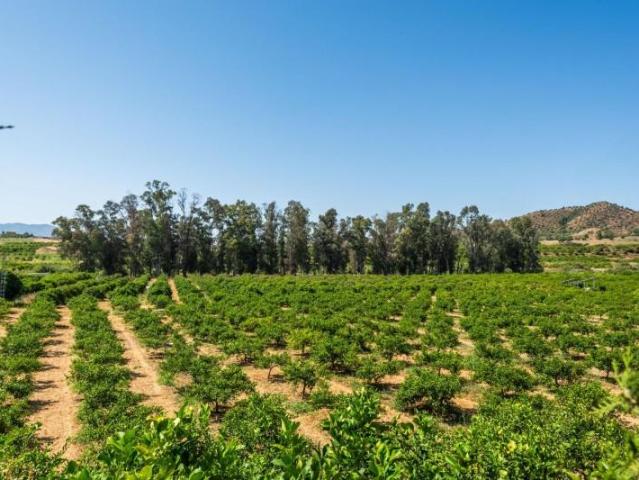 Terreno en venta Pizarra