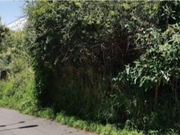 Terreno en venta plano de 1604m2 en San Bernab? la Magdalena Contreras