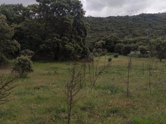 Terreno en venta Plasencia