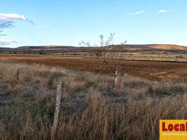 Terreno en venta Pomar de Valdivia