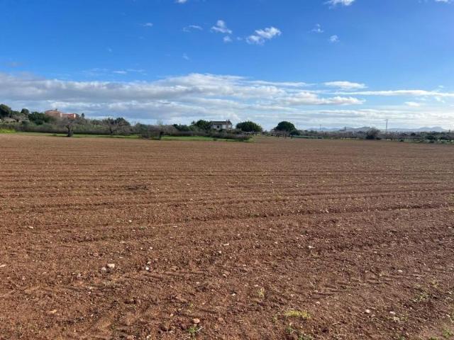 Terreno en venta Porreres