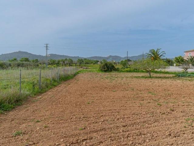 Terreno en venta Porreres