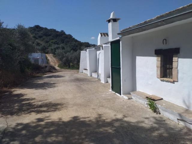 Terreno en venta Pruna