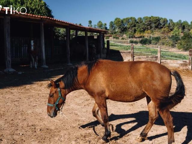 Terreno en venta Rubí
