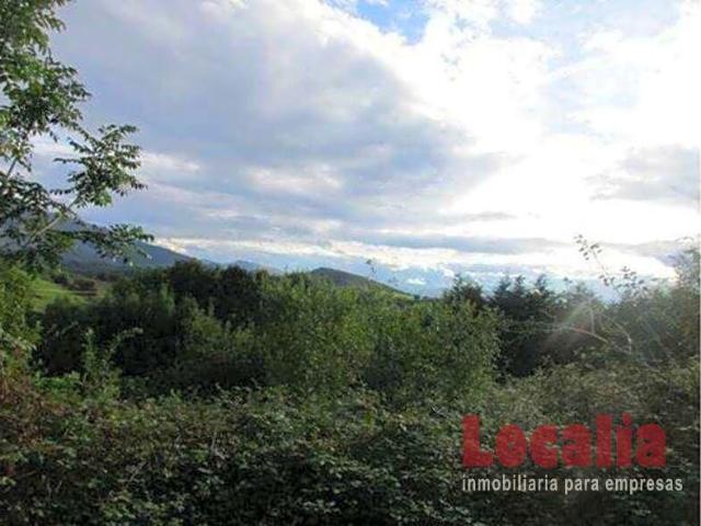 Terreno en venta Reocín