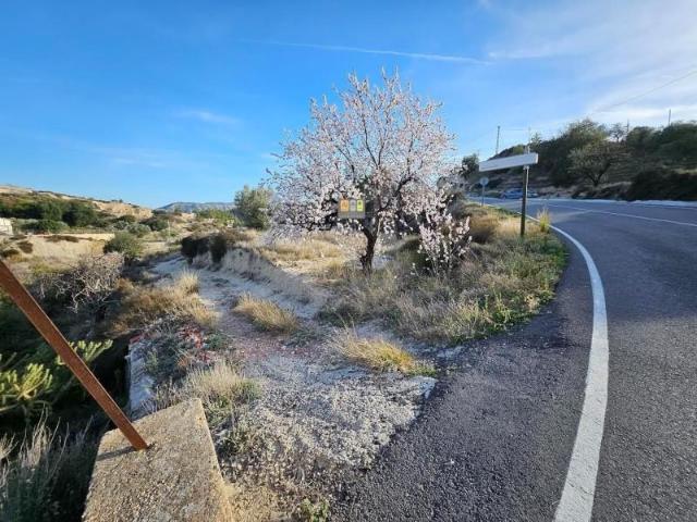 Terreno en venta Relleu